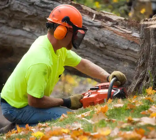 tree services Wolverine Lake